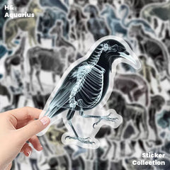 Black & White X-Ray Animal World 50pcs Transparent PET Stickers - Indie Trendy Decals for Phone Journal