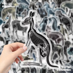 Black & White X-Ray Animal World 50pcs Transparent PET Stickers - Indie Trendy Decals for Phone Journal