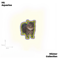 Oiiaio Catreflective sticker oiiai rotating electronic music cat cute meme automobile and motorcycle decoration flat waterproof sticker