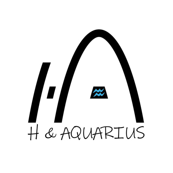 H&Aquarius Nails