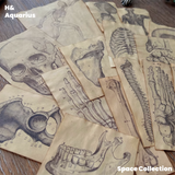 Handmade Coffee-Dyed Paper Skeleton Stickers