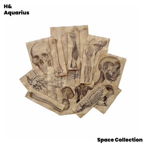 Handmade Coffee-Dyed Paper Skeleton Stickers