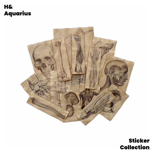 Handmade Coffee-Dyed Paper Skeleton Stickers