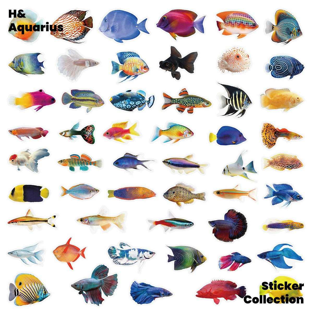 50pcs Transparent Fish Stickers - Phone Case Laptop Water Bottle Luggage DIY Decoration