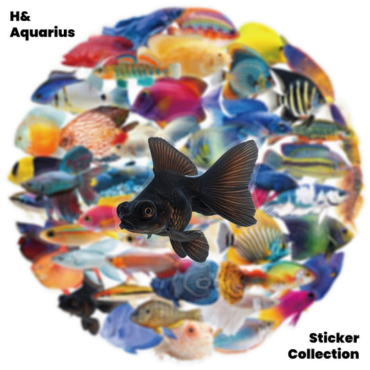 50pcs Transparent Fish Stickers - Phone Case Laptop Water Bottle Luggage DIY Decoration