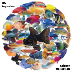 50pcs Transparent Fish Stickers - Phone Case Laptop Water Bottle Luggage DIY Decoration