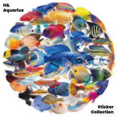 50pcs Transparent Fish Stickers - Phone Case Laptop Water Bottle Luggage DIY Decoration