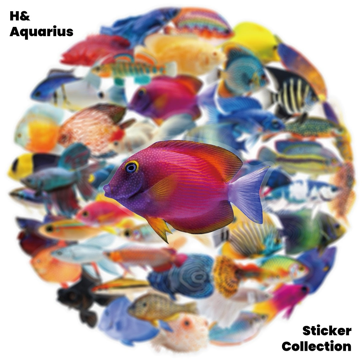 50pcs Transparent Fish Stickers - Phone Case Laptop Water Bottle Luggage DIY Decoration