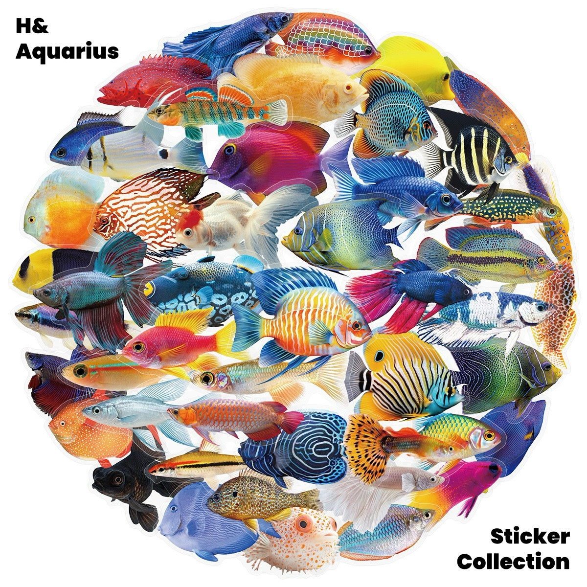 50pcs Transparent Fish Stickers - Phone Case Laptop Water Bottle Luggage DIY Decoration