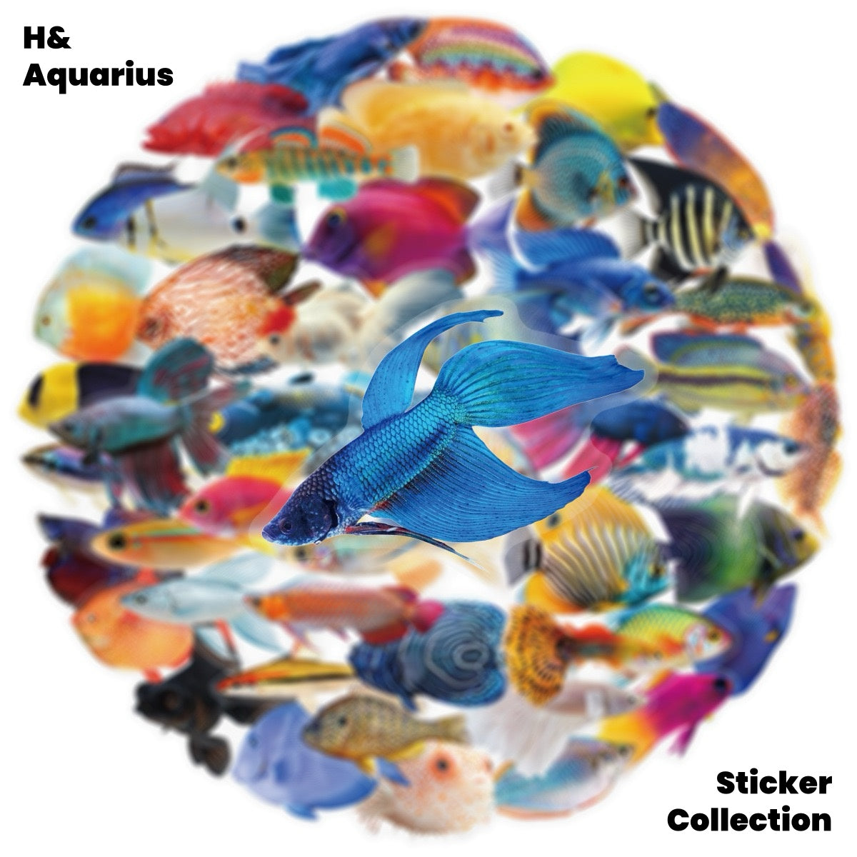 50pcs Transparent Fish Stickers - Phone Case Laptop Water Bottle Luggage DIY Decoration