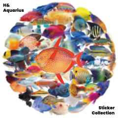 50pcs Transparent Fish Stickers - Phone Case Laptop Water Bottle Luggage DIY Decoration