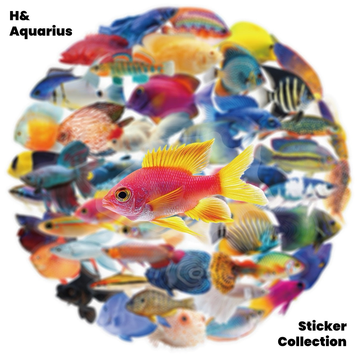 50pcs Transparent Fish Stickers - Phone Case Laptop Water Bottle Luggage DIY Decoration