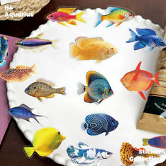 50pcs Transparent Fish Stickers - Phone Case Laptop Water Bottle Luggage DIY Decoration