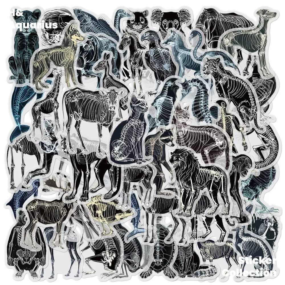 Black & White X-Ray Animal World 50pcs Transparent PET Stickers - Indie Trendy Decals for Phone Journal