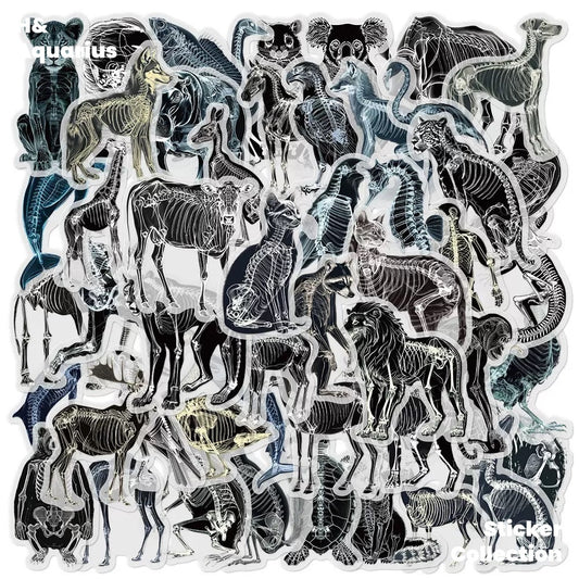 Black & White X-Ray Animal World 50pcs Transparent PET Stickers - Indie Trendy Decals for Phone Journal
