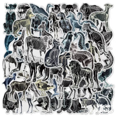 Black & White X-Ray Animal World 50pcs Transparent PET Stickers - Indie Trendy Decals for Phone Journal
