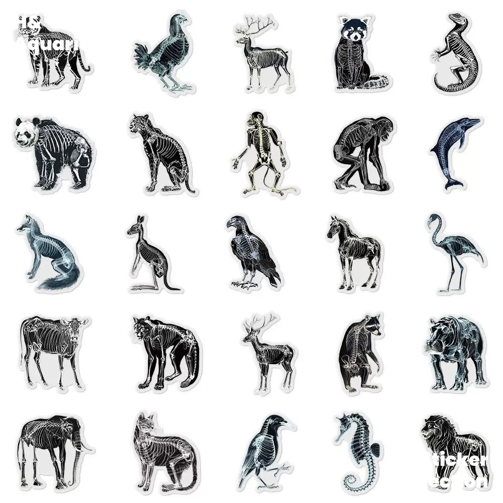 Black & White X-Ray Animal World 50pcs Transparent PET Stickers - Indie Trendy Decals for Phone Journal