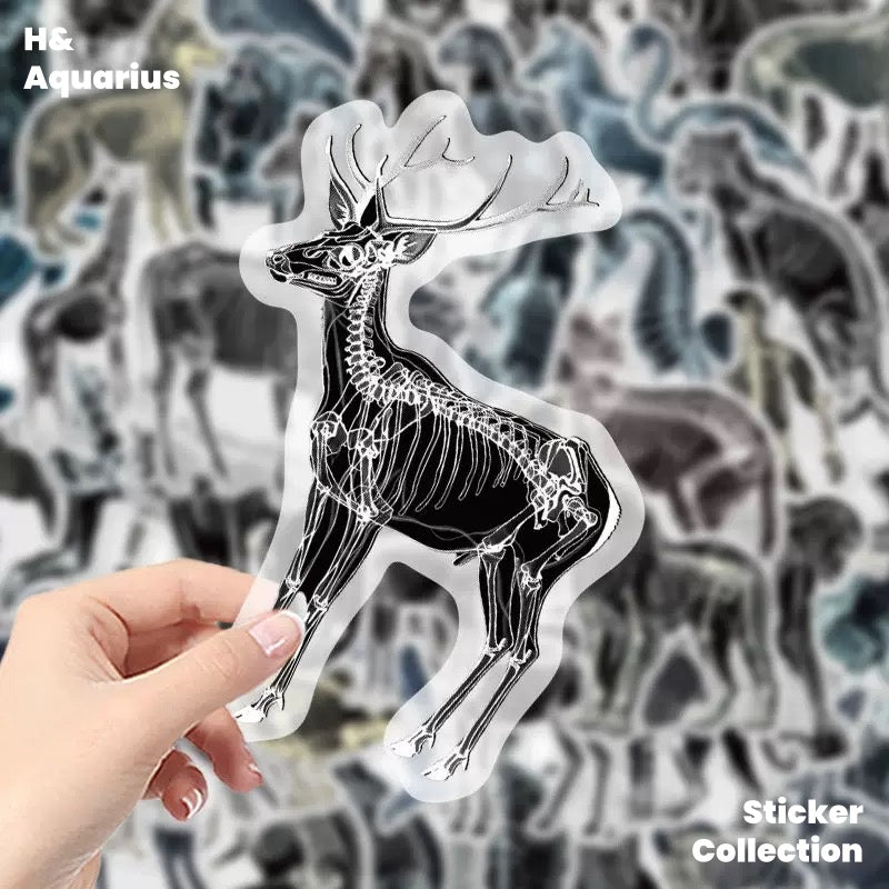 Black & White X-Ray Animal World 50pcs Transparent PET Stickers - Indie Trendy Decals for Phone Journal