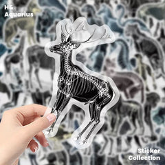 Black & White X-Ray Animal World 50pcs Transparent PET Stickers - Indie Trendy Decals for Phone Journal