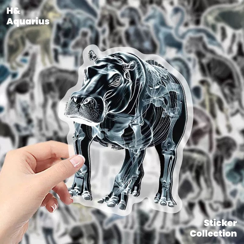 Black & White X-Ray Animal World 50pcs Transparent PET Stickers - Indie Trendy Decals for Phone Journal