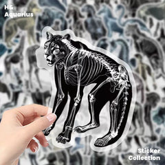 Black & White X-Ray Animal World 50pcs Transparent PET Stickers - Indie Trendy Decals for Phone Journal