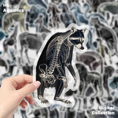 Black & White X-Ray Animal World 50pcs Transparent PET Stickers - Indie Trendy Decals for Phone Journal