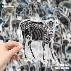Black & White X-Ray Animal World 50pcs Transparent PET Stickers - Indie Trendy Decals for Phone Journal