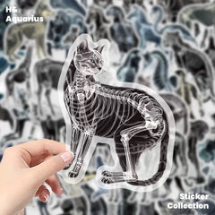 Black & White X-Ray Animal World 50pcs Transparent PET Stickers - Indie Trendy Decals for Phone Journal