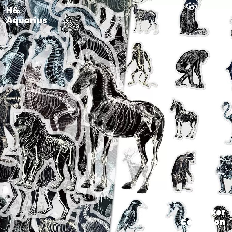 Black & White X-Ray Animal World 50pcs Transparent PET Stickers - Indie Trendy Decals for Phone Journal