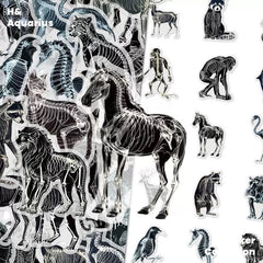Black & White X-Ray Animal World 50pcs Transparent PET Stickers - Indie Trendy Decals for Phone Journal