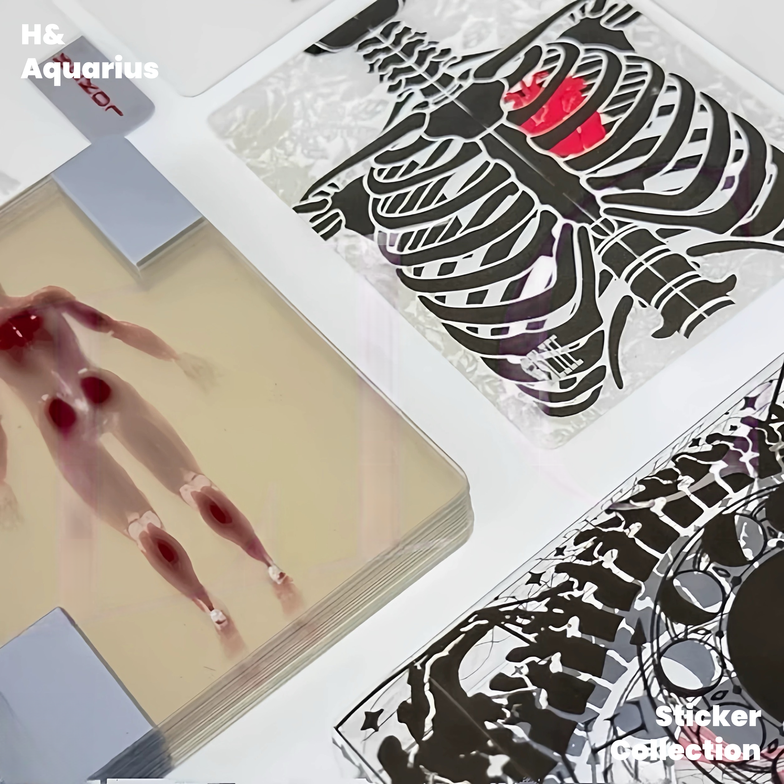 Slice Human Anatomy Playing Cards - Transparent Film Cards for Cardistry Creative Desktop Toy