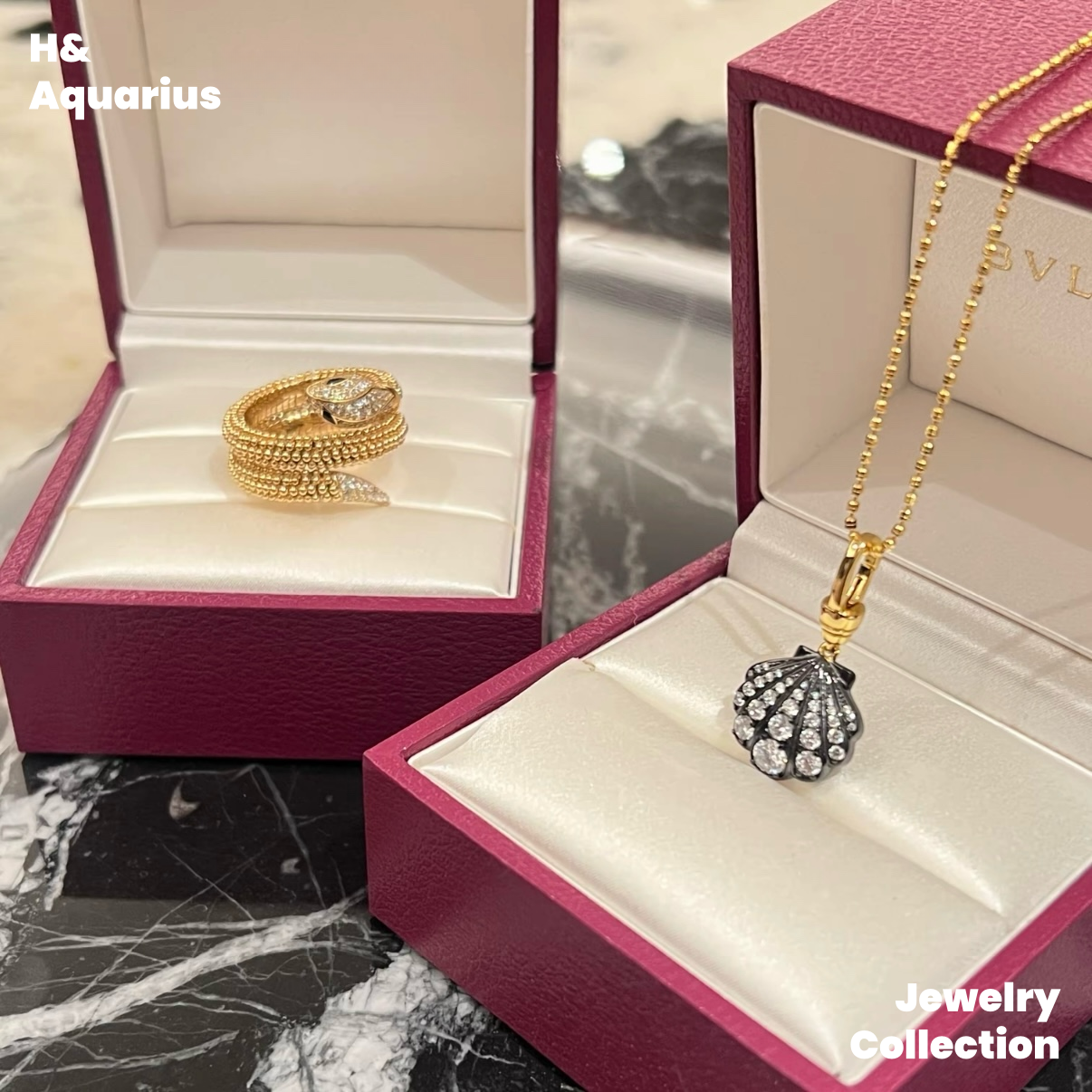 Pendant: 925 Silver & Zirconia Bubble Shell Necklace - Handmade Versatile Luxury Chain