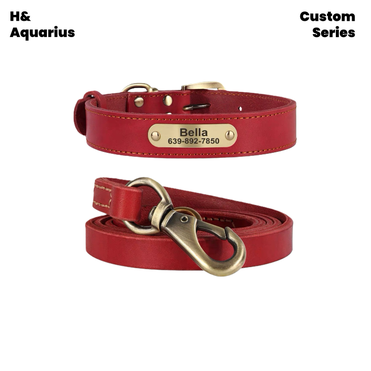 Custom Pet leather dog collar leash cowhide dog tag custom engraving anti-loss golden retriever medium and large dog collar