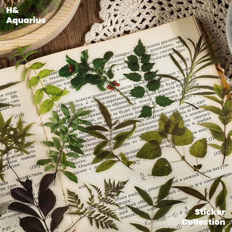 40 Flowers Plant Pet Sticker Pack Retro Simulation Leaf Life Notebook DIY Material Collage