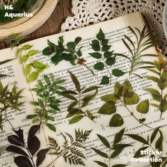 40 Flowers Plant Pet Sticker Pack Retro Simulation Leaf Life Notebook DIY Material Collage