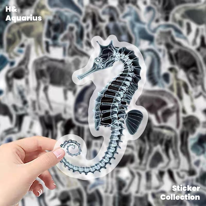 Black & White X-Ray Animal World 50pcs Transparent PET Stickers - Indie Trendy Decals for Phone Journal