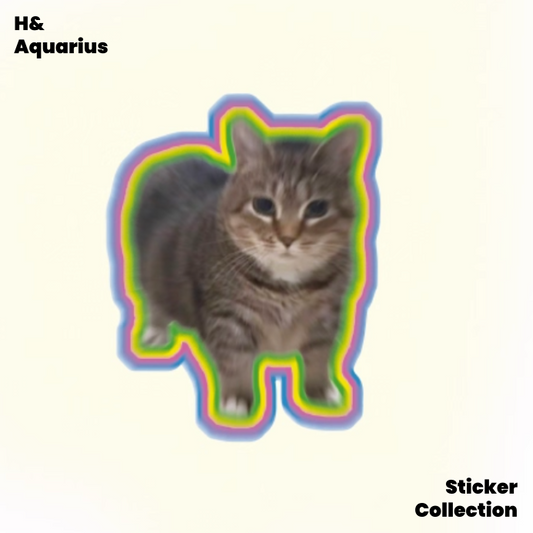 Oiiaio Catreflective sticker oiiai rotating electronic music cat cute meme automobile and motorcycle decoration flat waterproof sticker