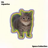 Oiiaio Catreflective sticker oiiai rotating electronic music cat cute meme automobile and motorcycle decoration flat waterproof sticker