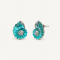 Nautilus Shell Stud Earrings