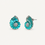 Nautilus Shell Stud Earrings