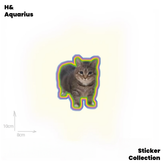 Oiiaio Catreflective sticker oiiai rotating electronic music cat cute meme automobile and motorcycle decoration flat waterproof sticker