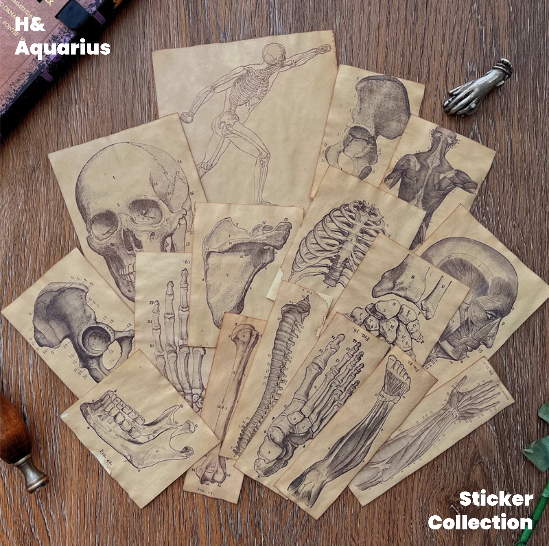 Handmade Coffee-Dyed Paper Skeleton Stickers