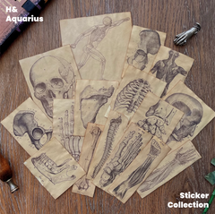 Handmade Coffee-Dyed Paper Skeleton Stickers