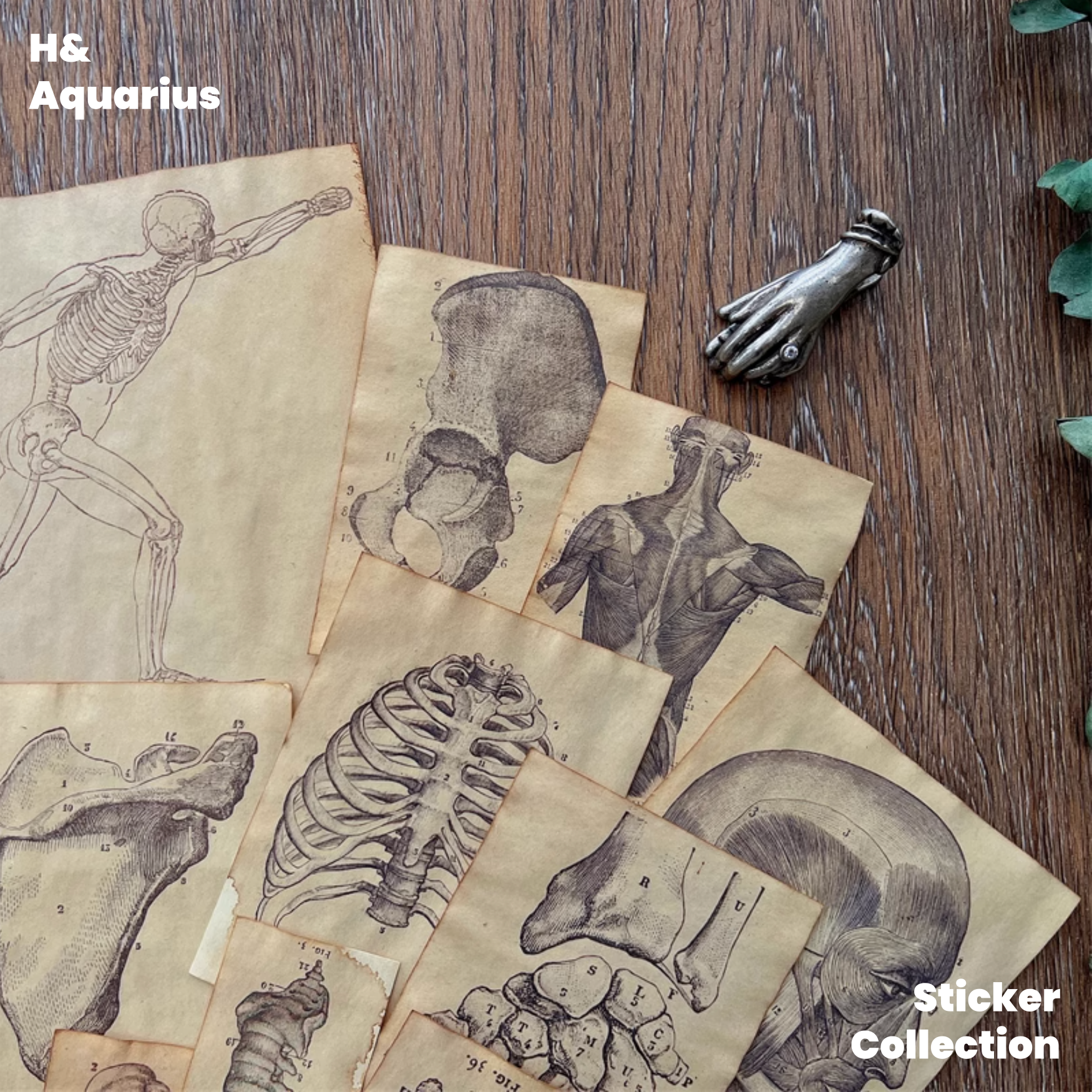 Handmade Coffee-Dyed Paper Skeleton Stickers