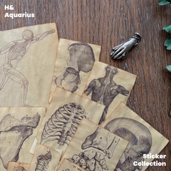 Handmade Coffee-Dyed Paper Skeleton Stickers