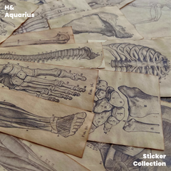 Handmade Coffee-Dyed Paper Skeleton Stickers
